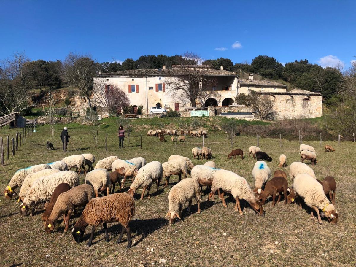 Gîtes La ferme accrochée à la colline Lagorce  Exterior foto